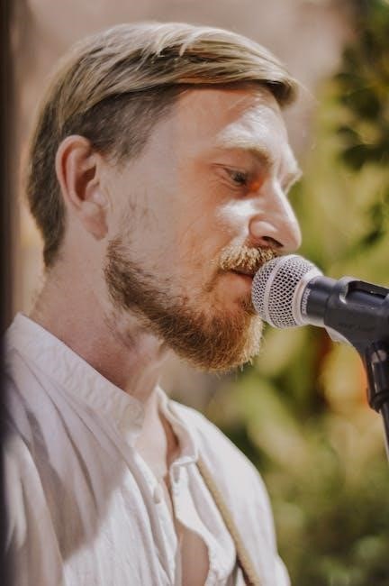 singer simple manual 3116