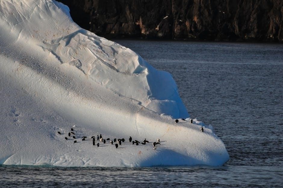 out of antarctica pdf