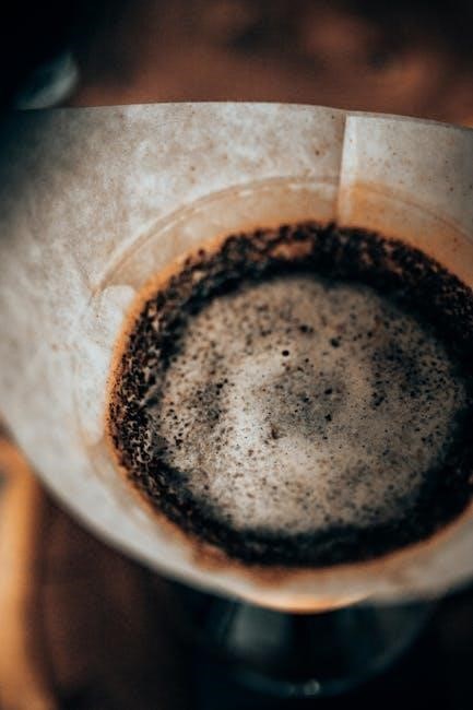 hayward s200 sand filter manual