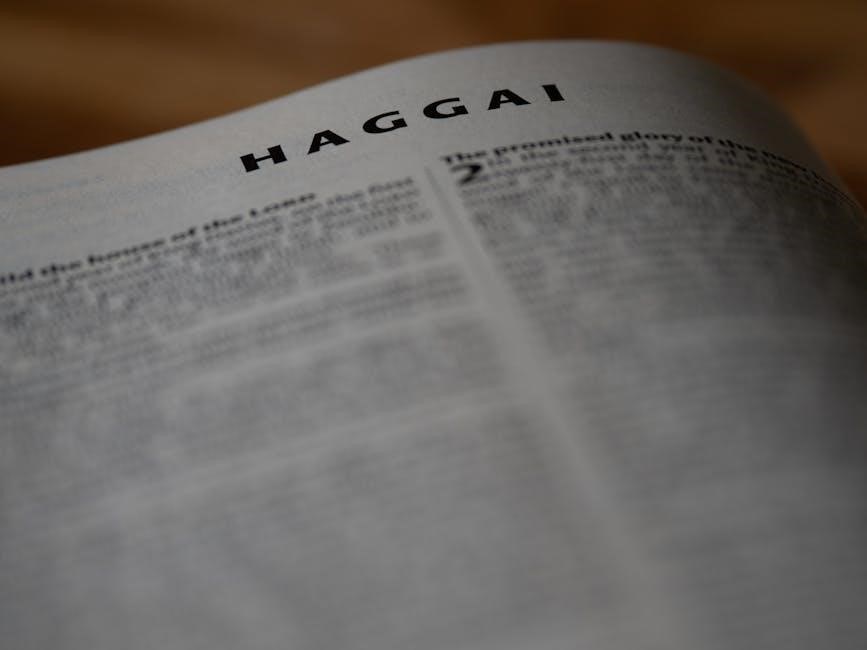 the book of daniel explained verse by verse pdf