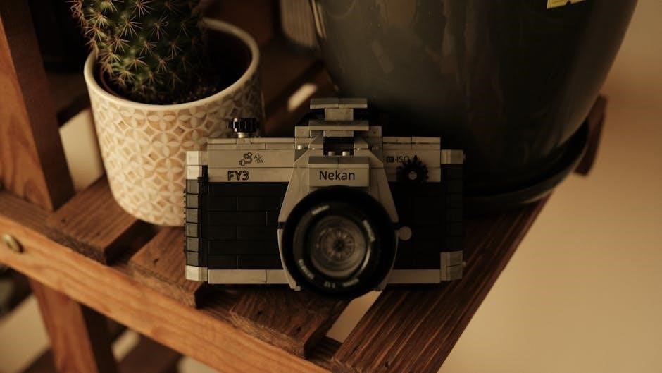 lego the black pearl instructions