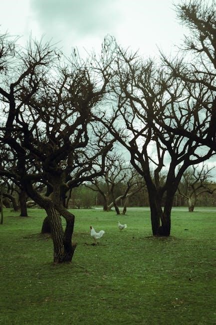 tv guide santa fe nm