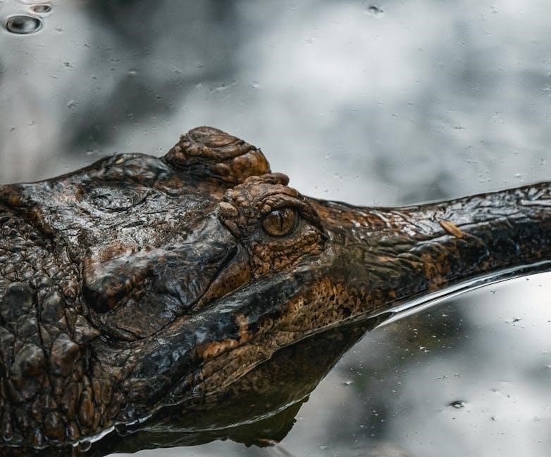 three the perfect number pdf free download