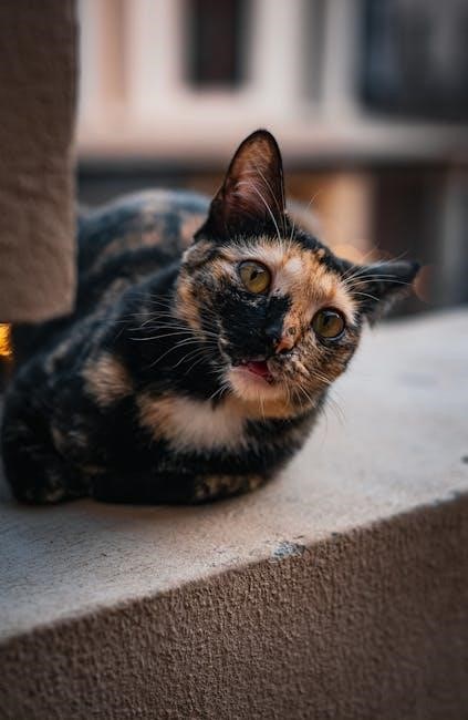 order of the eastern star study guide pdf free download