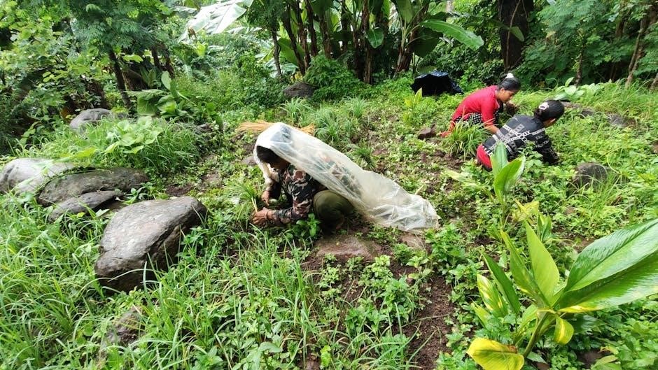 ryobi weed eater owners manual