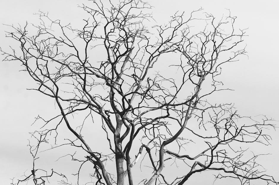 lungs duncan macmillan pdf