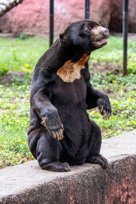 goldilocks and the three bears pdf