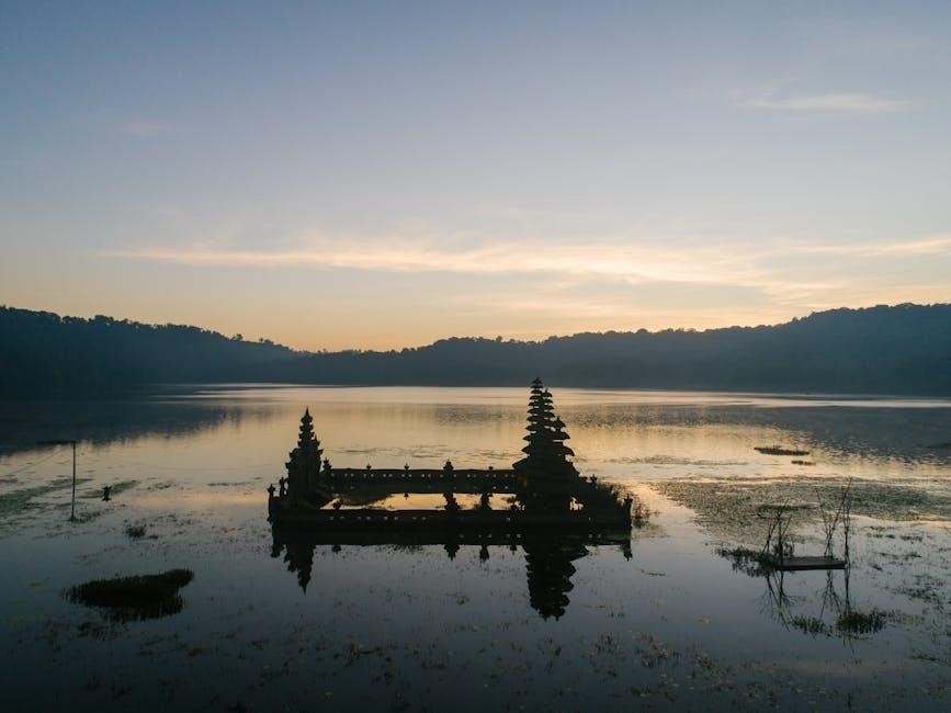 force and destiny pdf